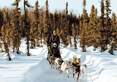 dogs pulling sled in winter