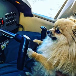 flight instructor online course cfi checkride course