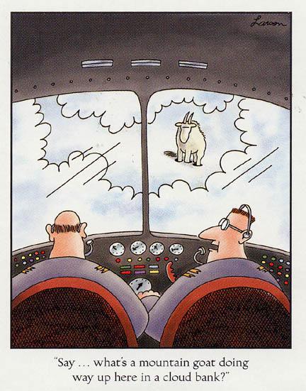goat in clouds