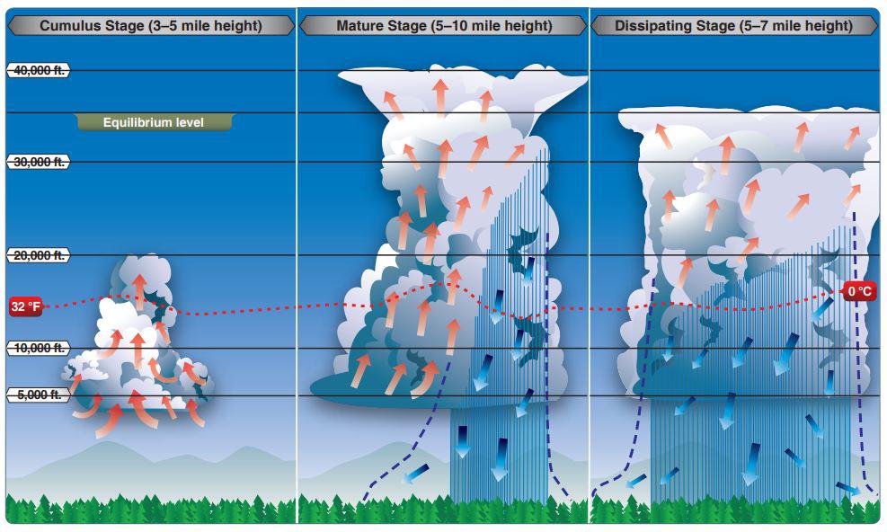 thunderstorm life stages fly8ma