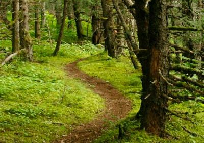 trails biglake