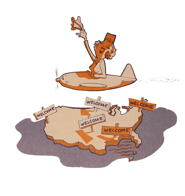 Terrain Flying Cartoon